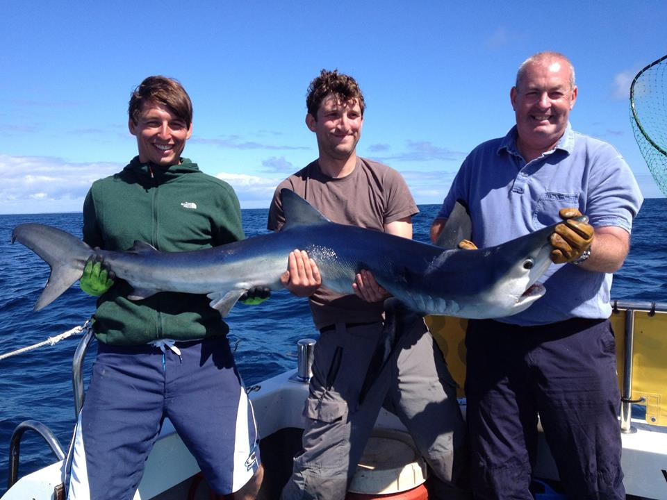 Shark fishing off West Cornwall